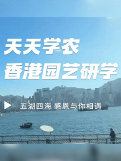 与香港园艺学会联合举办香港园艺研学，专业园境师带队讲解。